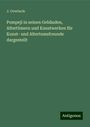 J. Overbeck: Pompeji in seinen Gebäuden, Altertümern und Kunstwerken für Kunst- und Altertumsfreunde dargestellt, Buch