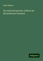 Hugo Magnus: Die makroskopischen Gefässe der Menschlichen Netzhaut, Buch