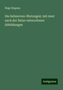 Hugo Magnus: Die Sehnerven-Blutungen: mit zwei nach der Natur entworfenen Abbildungen, Buch