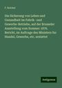 F. Reichel: Die Sicherung von Leben und Gesundheit im Fabrik- und Gewerbe-Betriebe, auf der Brusseler Ausstellung vom Sommer 1876. Bericht, im Auftrage des Ministers fur Handel, Gewerbe, etc. erstattet, Buch