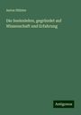 Anton Hülster: Die Seelenlehre, gegründet auf Wissenschaft und Erfahrung, Buch