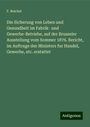 F. Reichel: Die Sicherung von Leben und Gesundheit im Fabrik- und Gewerbe-Betriebe, auf der Brusseler Ausstellung vom Sommer 1876. Bericht, im Auftrage des Ministers fur Handel, Gewerbe, etc. erstattet, Buch