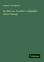 Sigmund Schlesinger: Ein liberaler Candidat: Lustspiel in einem Aufzuge, Buch