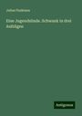 Julius Findeisen: Eine Jugendsünde. Schwank in drei Aufzügen, Buch