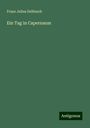 Franz Julius Delitzsch: Ein Tag in Capernaum, Buch