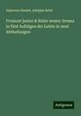 Alphonse Daudet: Fromont junior & Risler senior: Drama in fünf Aufzügen der Letzte in zwei Abtheilungen, Buch