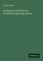 Theodor Fuchs: Geologische Studien in den Tertiärabildungen Süd-Italiens, Buch