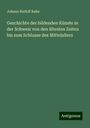 Johann Rudolf Rahn: Geschichte der bildenden Künste in der Schweiz von den ältesten Zeiten bis zum Schlusse des Mittelalters, Buch