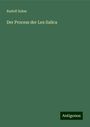 Rudolf Sohm: Der Process der Lex Salica, Buch