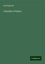 Paul Siegvolk: A Bundle of Papers, Buch