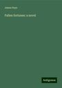 James Payn: Fallen fortunes: a novel, Buch