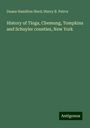 Duane Hamilton Hurd: History of Tioga, Chemung, Tompkins and Schuyler counties, New York, Buch