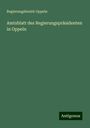 Regierungsbezirk Oppeln: Amtsblatt des Regierungspräsidenten in Oppeln, Buch