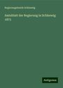 Regierungsbezirk Schleswig: Amtsblatt der Regierung in Schleswig 1873, Buch