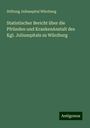 Stiftung Juliusspital Würzburg: Statistischer Bericht über die Pfründen und KrankenAnstalt des Kgl. Juliusspitals zu Würzburg, Buch