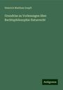 Heinrich Matthais Zoepfl: Grundriss zu Vorlesungen über Rechtsphilosophie Naturrecht, Buch