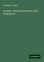 Hendrick B. Wright: Causes of general depression in labor and business, Buch