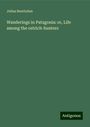 Julius Beerbohm: Wanderings in Patagonia: or, Life among the ostrich-hunters, Buch