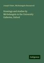 Joseph Fisher: Drawings and studies by Michelangelo in the University Galleries, Oxford, Buch