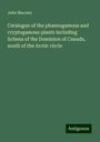 John Macoun: Catalogue of the phaenogamous and cryptogamous plants including lichens of the Dominion of Canada, south of the Arctic circle, Buch