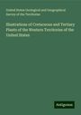 United States Geological and Geographical Survey of the Territories: Illustrations of Cretaceous and Tertiary Plants of the Western Territories of the United States, Buch