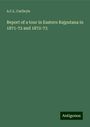 A. C. L. Carlleyle: Report of a tour in Eastern Rajputana in 1871-72 and 1872-73, Buch