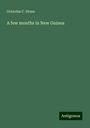 Octavius C. Stone: A few months in New Guinea, Buch