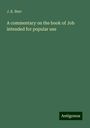 J. K. Burr: A commentary on the book of Job intended for popular use, Buch