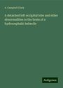 A. Campbell Clark: A detached left occipital lobe and other abnormalities in the brain of a hydrocephalic imbecile, Buch