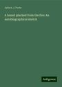 Julia A. J. Foote: A brand plucked from the fire: An autobiographical sketch, Buch