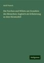 Adolf Pansch: Die Furchen und Wülste am Grosshirn des Menschen: Zugleich als Erläuterung zu dem Hirnmodell, Buch