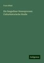 Franz Möstl: Ein Szegediner Hexenprocess: Culturhistorische Studie, Buch