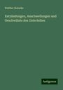 Walther Heineke: Entzündungen, Anschwellungen und Geschwülste des Unterleibes, Buch