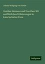 Johann Wolfgang von Goethe: Goethes Hermann und Dorothea: Mit ausführlichen Erläuterungen in katechetischer Form, Buch