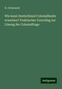 N. Grünewald: Wie kann Deutschland Colonialbesitz erwerben? Praktischer Vorschlag zur Lösung der Colonialfrage, Buch