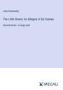 John Galsworthy: The Little Dream; An Allegory in Six Scenes, Buch