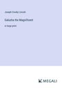 Joseph Crosby Lincoln: Galusha the Magnificent, Buch