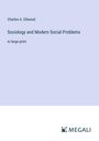 Charles A. Ellwood: Sociology and Modern Social Problems, Buch