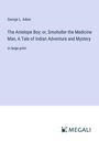 George L. Aiken: The Antelope Boy; or, Smoholler the Medicine Man, A Tale of Indian Adventure and Mystery, Buch