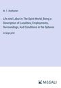 M. T. Shelhamer: Life And Labor In The Spirit World; Being a Description of Localities, Employments, Surroundings, And Conditions in the Spheres, Buch