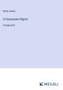 Henry James: A Passionate Pilgrim, Buch