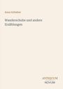 "Anna Schieber: Wanderschuhe und andere Erzählungen" in der Mitte, "ANTIQUM NOVUM" in der unteren rechten Ecke.