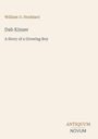 William O. Stoddard: Dab Kinzer, Buch