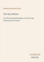 Es zeigt Titel und Autor eines Buches: "The Boy Miners" von Edward Sylvester Ellis. Unten steht "ANTIQUEUM NOVUM".