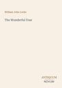 William John Locke: The Wonderful Year, Buch