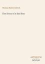 Thomas Bailey Aldrich: The Story of a Bad Boy, Buch