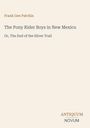 Frank Gee Patchin: The Pony Rider Boys in New Mexico, Buch