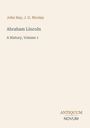Text: "John Hay, J. G. Nicolay", "Abraham Lincoln", "A History, Volume 1", "ANTIQUM NOVUM." Schlichtes, minimalistisches Design.