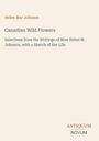 Titel: Canadian Wild Flowers. Autor: Helen Mar Johnson. Verlag: Antiquum Novum. Beigefarbener Hintergrund.