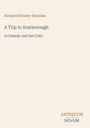 Text: "Richard Brinsley Sheridan, A Trip to Scarborough, A Comedy and the Critic, ANTIQUUM NOVUM". Dezentes, minimalistisches Design.